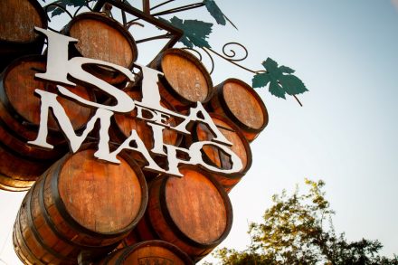 Fiesta de la Vendimia 2017 – Tour Discover Isla de Maipo – Venha a decobrir Isla de Maipo